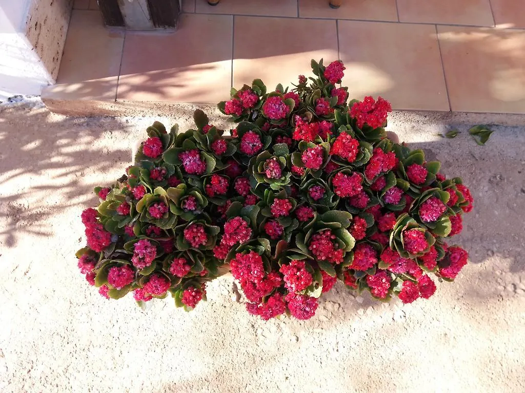 B&B Maria Paola San Vito lo Capo Frühstückspension